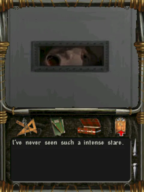 An intense stare through a cell door