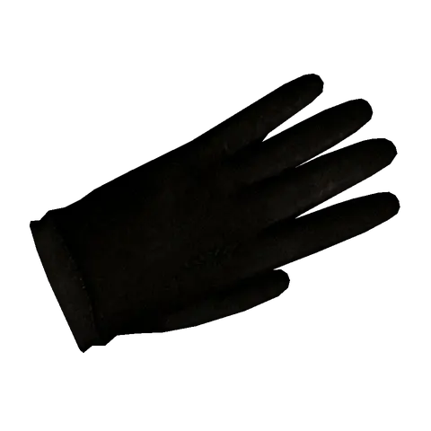 Gloves: Episode 02, the 3D model from the front