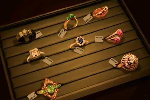 The jewellery shop: The ring case