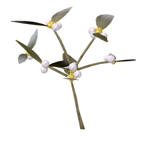 Mistletoe: Episode 03, the 3D model from the front