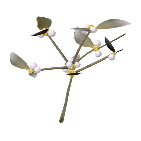 Mistletoe: Episode 03, the 3D model from behind