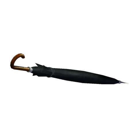 Umbrella: Episode 02, the 3D model from the front