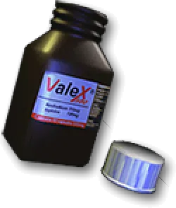 Valex: Episode 02, the inventory icon