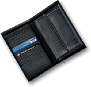 Wallet: Empty, the inventory icon