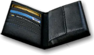 Wallet: Episode 02, the inventory icon