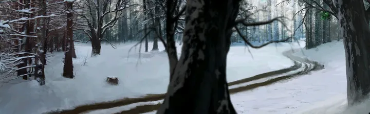 The woods: The woods