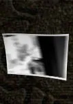 Picture evidence
