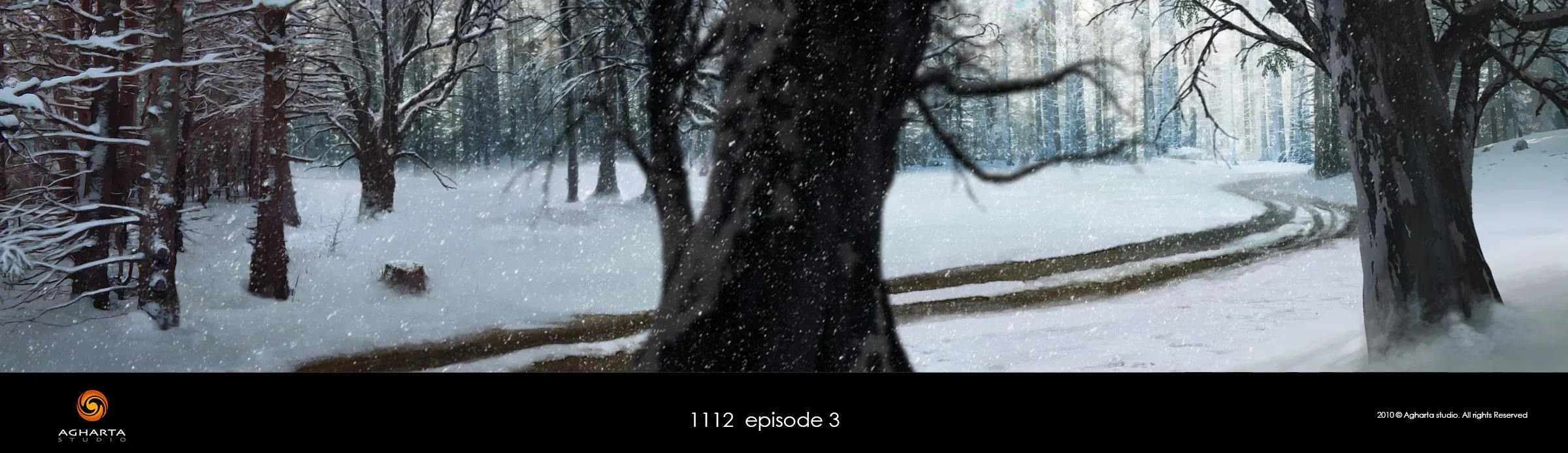 The woods